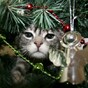 Poll: When should the Christmas decorations go up?