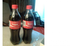 Tweet Sweeper: Brian and Vogue are living the dream