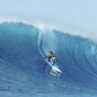 Sports film of the week: Hawaiian -- The Legend Of Eddie Aikau