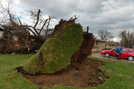 A tree was pulled out of the ground by the roots, collapsing onto a house after a tornado left a path of devastation through the north end of Pekin.