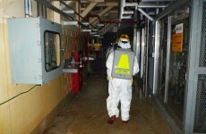 Engineers begin dangerous task of removing fuel rods from Fukushima