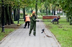 Amsterdam pays alcoholics in beer to clean streets