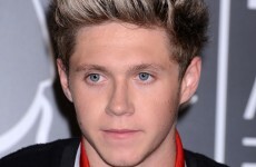 Niall Horan says yes to Mullingar museum in his honour