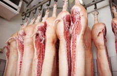 Half of tested "Irish" pig meat isn't Irish - IFA