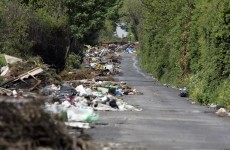 Council to look at increasing staff to tackle illegal dumping