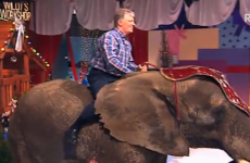 Your reminder that Pat Kenny opened the 2002 Toy Show on an elephant