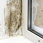 Column: Minimum standards and regulations of rental properties should be enforced