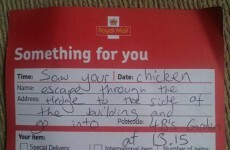 This brilliant 'delivery note' was left by the world's greatest postman