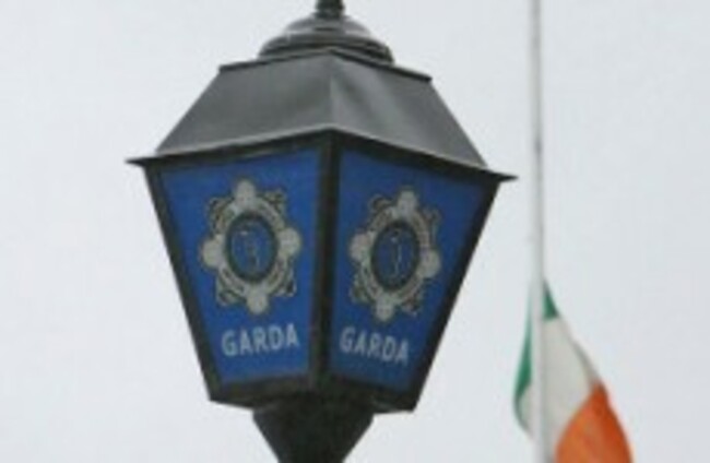 Gardaí seize €400,000 worth of cannabis plants