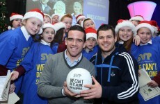 Calls to St Vincent de Paul more than double in three years