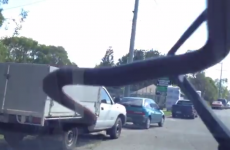 In Australia, look out for snakes on your windscreen wipers