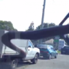 In Australia, look out for snakes on your windscreen wipers