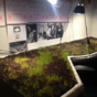 Prankster co-workers grow grass on colleague's desk while he's on holidays