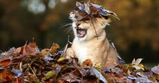 The Week in Photos: Autumnal