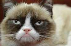 6 torments only people who have to work over the holidays will understand
