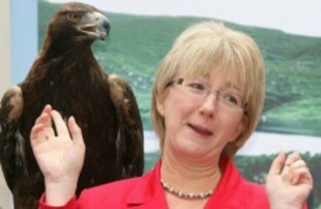 Mary Hanafin: I will run in the next general election