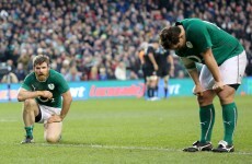If you can bear to watch: Highlights of Ireland's 22 - 24 loss to New Zealand