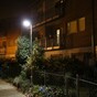 Slavery suspects linked to 13 properties across London
