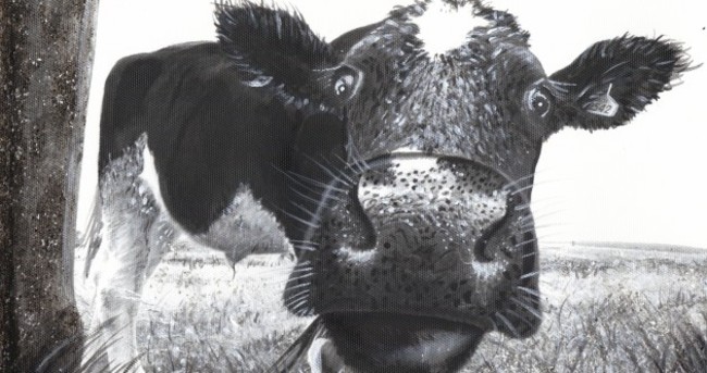 Artist's bovine beauties milking the attention
