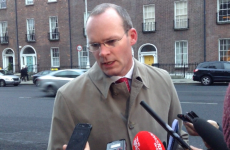 Broad reform needed to make Seanad 'fit for modern Ireland', says Coveney