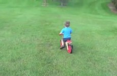 Watch this little boy on a bike crash straight into a tree