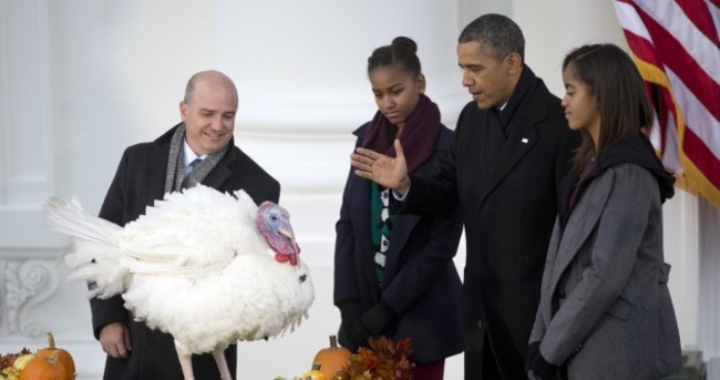 Obama pardons Popcorn, the National Thanksgiving turkey