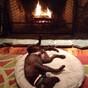 How to reassure yourself that winter is actually the BEST season