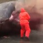 Horrifying video of dead sperm whale exploding