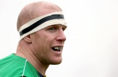 Pro12 team news: Paulie back for Munster's game against the Dragons