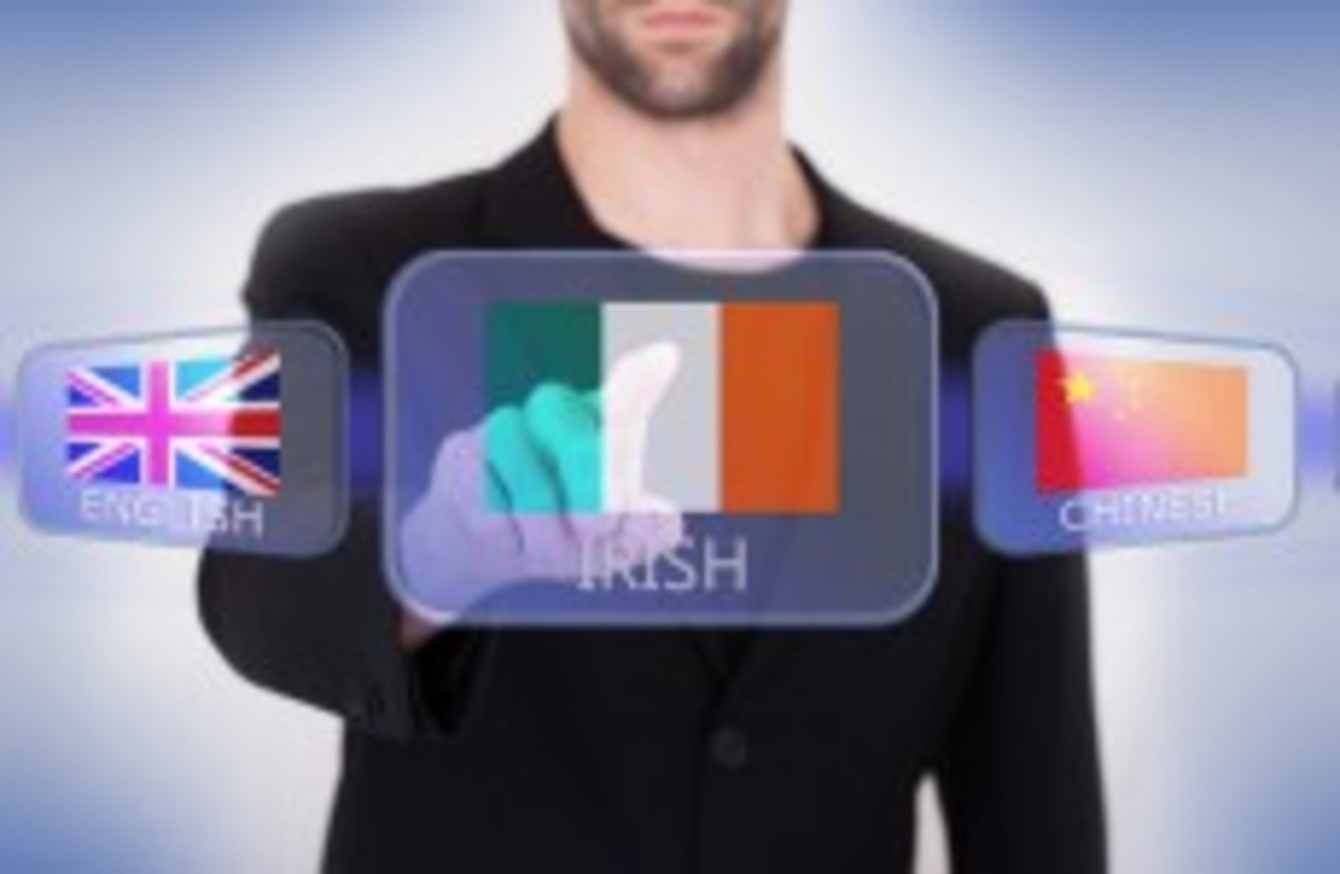 More Than 12 Million Spent Training Irish Language - 