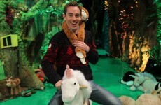 Poll: Are you going to watch the Toy Show(s)?