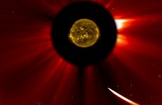 Comet ISON may have survived its brush with the sun