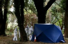 Top readers' comments of the week