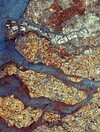 Urban beauties: Incredible view of cities from space