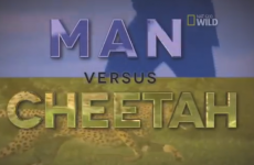 NFL star Devin Hester raced a cheetah... and won