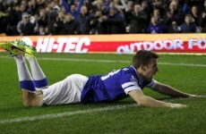 WATCH: Seamus Coleman strikes for in-form Everton at Goodison