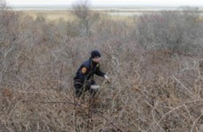 More bones found at New York beach as fears of serial killer grow