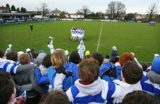 Cuala agree ground share deal with Blackrock College RFC