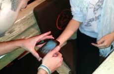 Waiter pulls terrible cockroach prank on restaurant customer