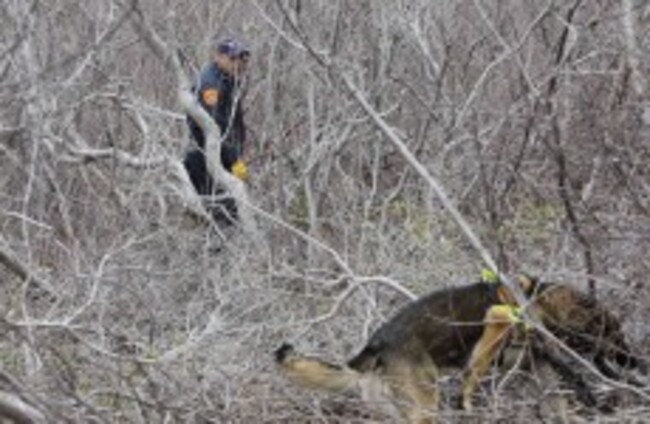 Latest Long Island bodies may be victims of separate killer