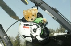Making hospital a little easier – the charity that has given 10,000 teddies to kids