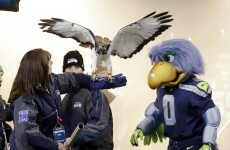 Seahawks fans set new record as the world's loudest crowd