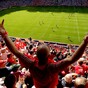 12 of Cork's best sporting moments in 2013