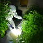 Two arrested after large-scale cannabis growhouse uncovered in Ballymena