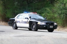Man arrested for stealing a police car and going on a naked joy ride