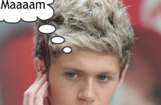 Niall Horan's mammy says he's 'not ready to have a girlfriend'... it's The Dredge