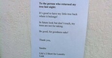 Stolen tree returned to Lusk launderette after owner posts excellent letter to thieves