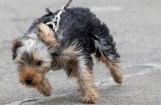 Winter's here as weather warning issued over winds