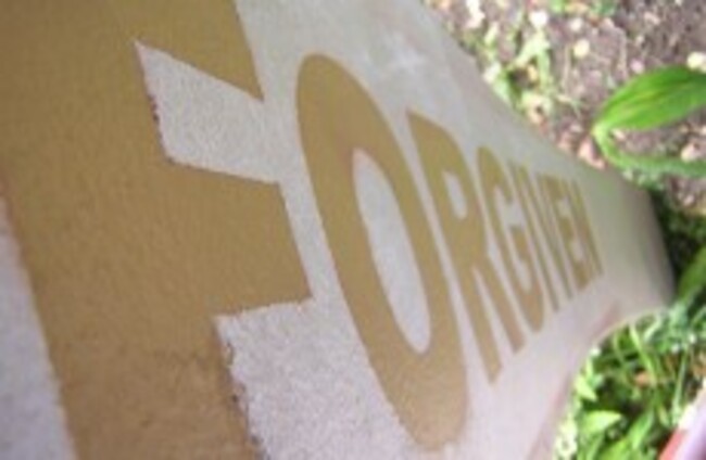 Poll: Should banks write off unpaid mortgage debt?
