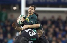 Springboks, Wallabies confirmed as Ireland's next November opposition
